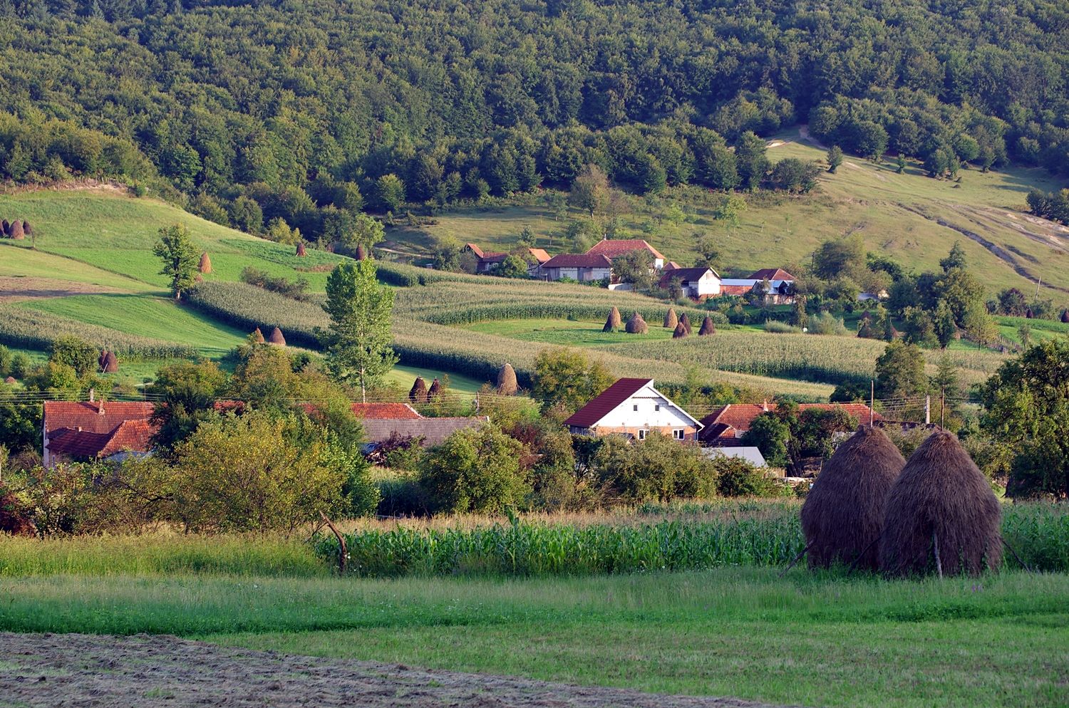 Wênegirê Kurd Suer bû mîvanê Romanyayê 